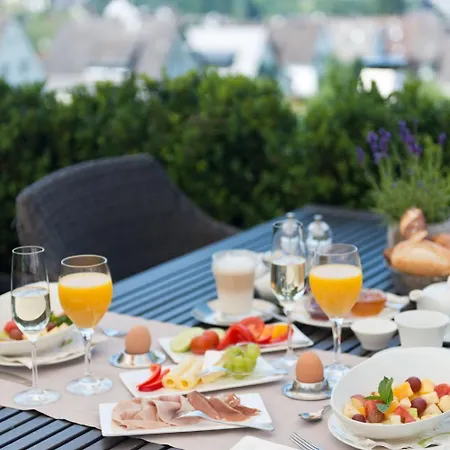 Heinz Hotel Höhr-Grenzhausen