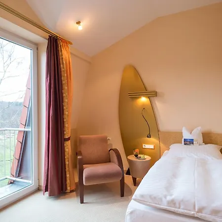 Hotell Heinz Höhr-Grenzhausen